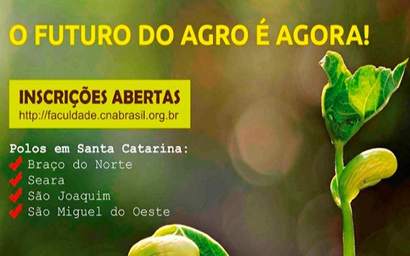 https://auonline.com.br/upload/artigos/2021/01/lg_005ac57062e2c499.jpg