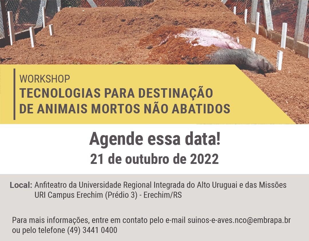 https://auonline.com.br/upload/artigos/2022/10/lg_4331c7e4e03a6540.jpg