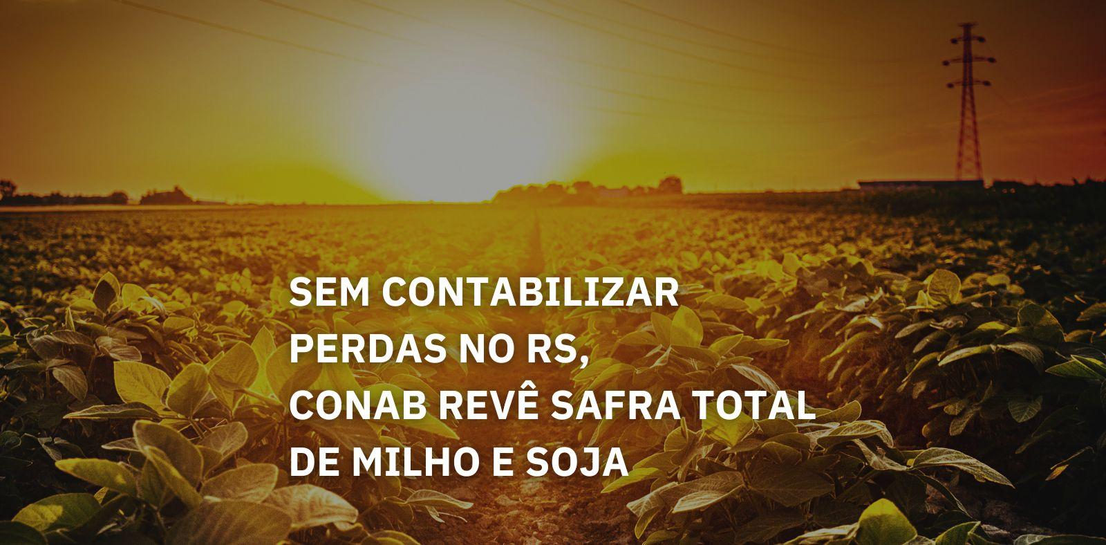 https://auonline.com.br/upload/artigos/2024/05/lg_bfed466a18e1c406.jpg