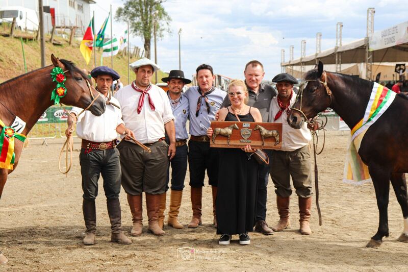 13ª Exposição Morfológica do NAUCCC destaca excelência na avaliação de cavalos crioulos