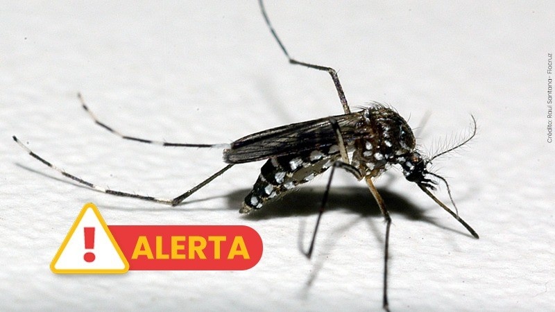 Caso de dengue tipo 3 é confirmado pela Secretaria da Saúde do RS