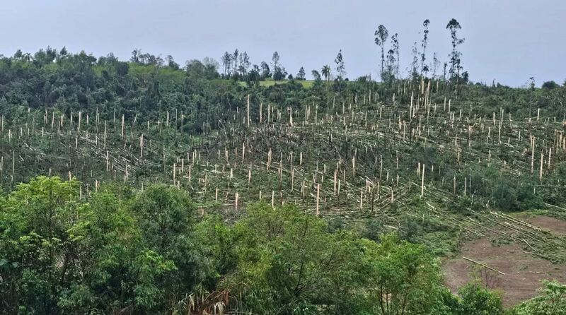 Ventos extremos provocam destruição e duas mortes em Santa Catarina